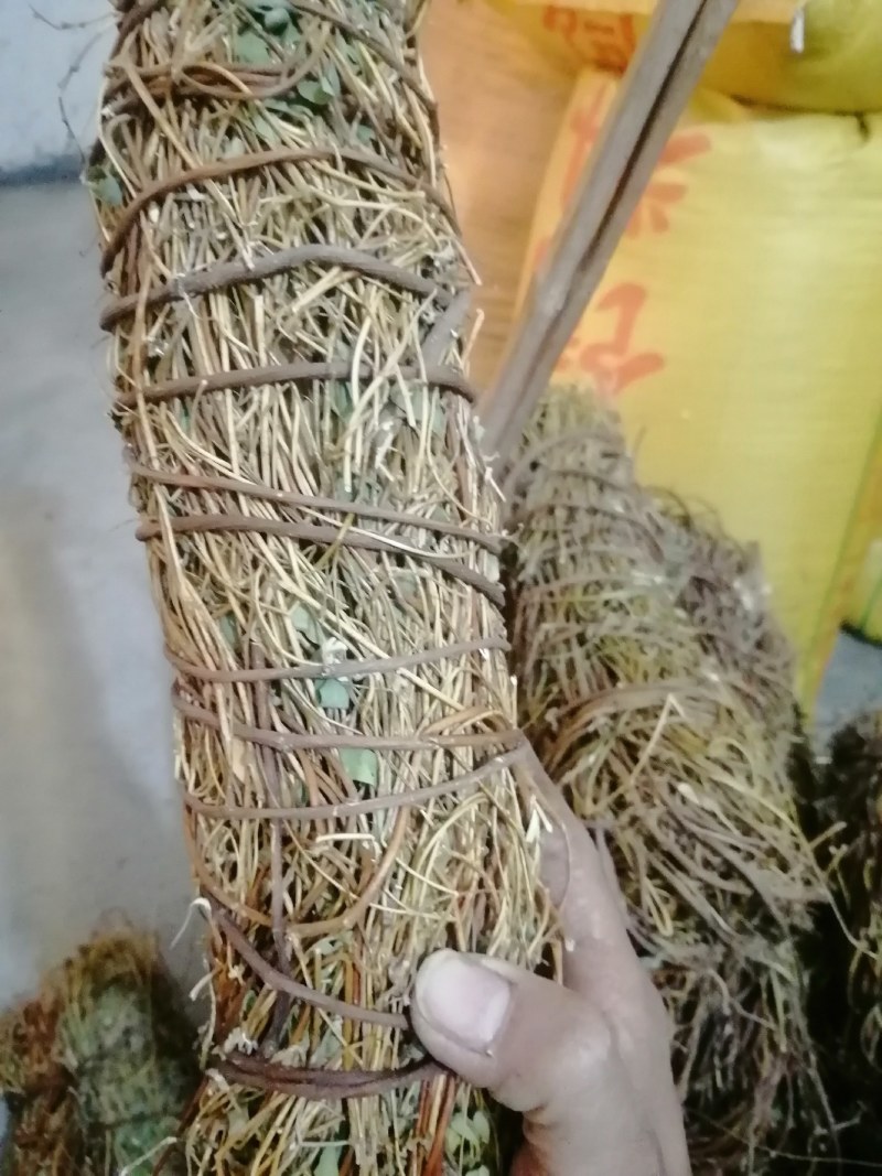 鸡骨草