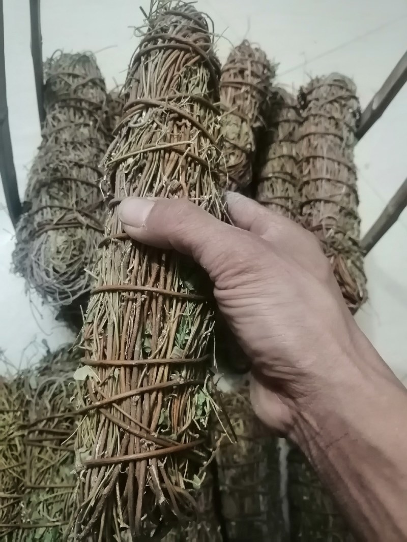 鸡骨草