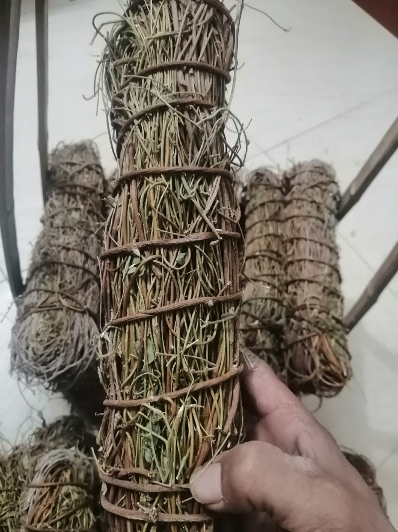 鸡骨草