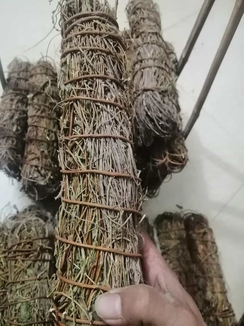 鸡骨草