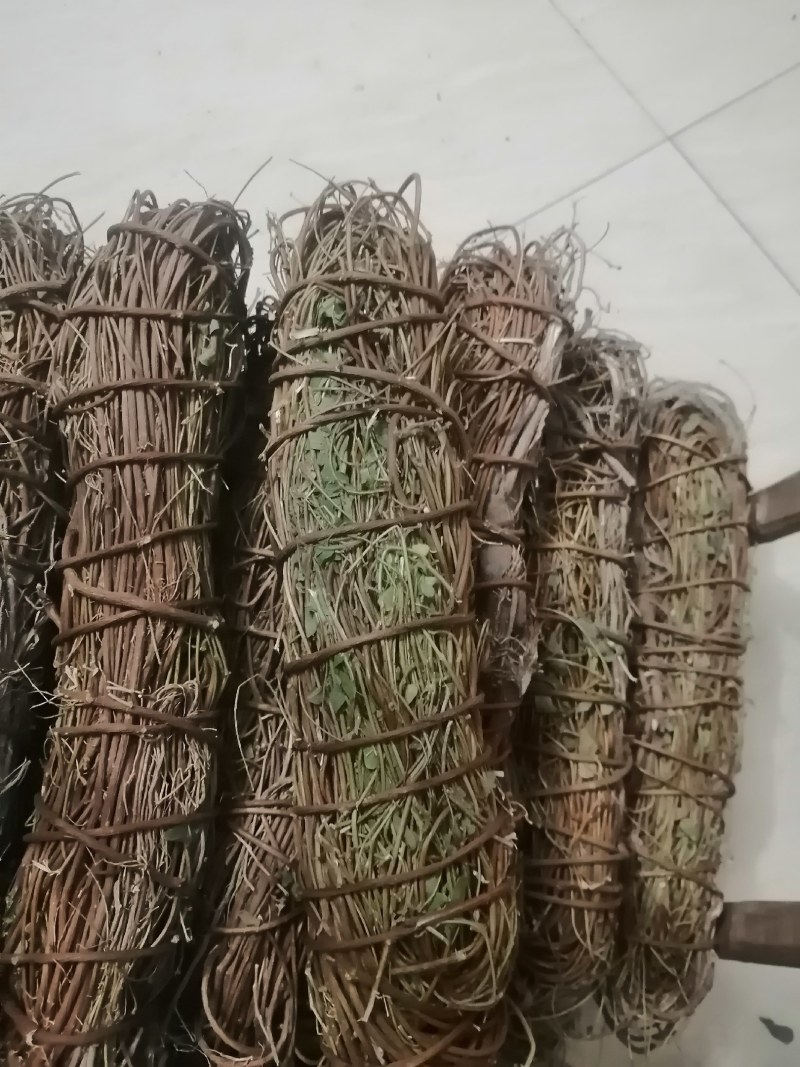 鸡骨草
