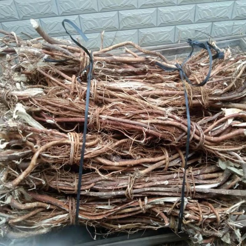 广东清远阳山野生五指毛桃，味道清香量大从优