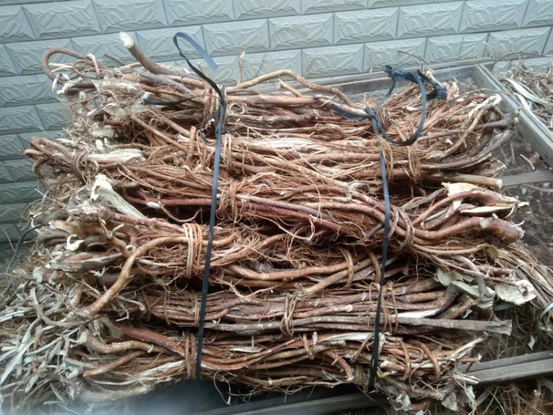 广东清远阳山野生五指毛桃，味道清香量大从优