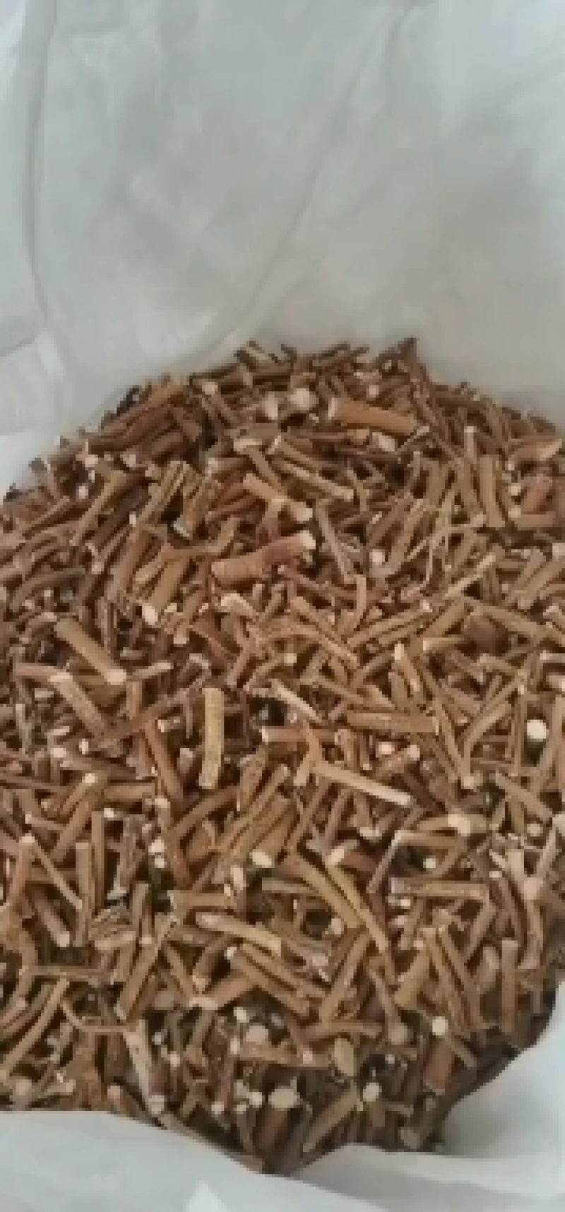 广东清远阳山野生五指毛桃，味道清香量大从优