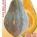 香芋南瓜种子，密本，土南瓜，贝贝