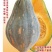 香芋南瓜种子，密本，土南瓜，贝贝