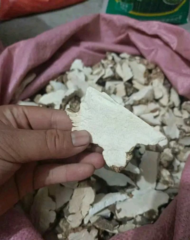 【土茯苓】正品粉质白茯苓产木质茯苓地货源品质保证诚信经营