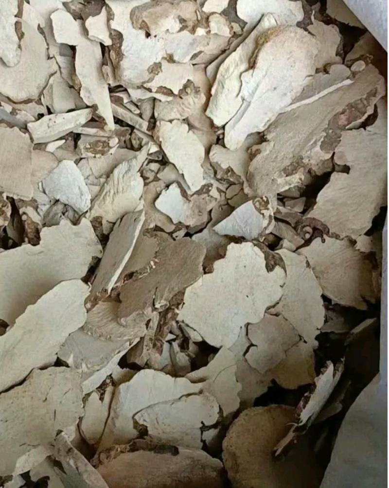 【土茯苓】正品粉质白茯苓产木质茯苓地货源品质保证诚信经营