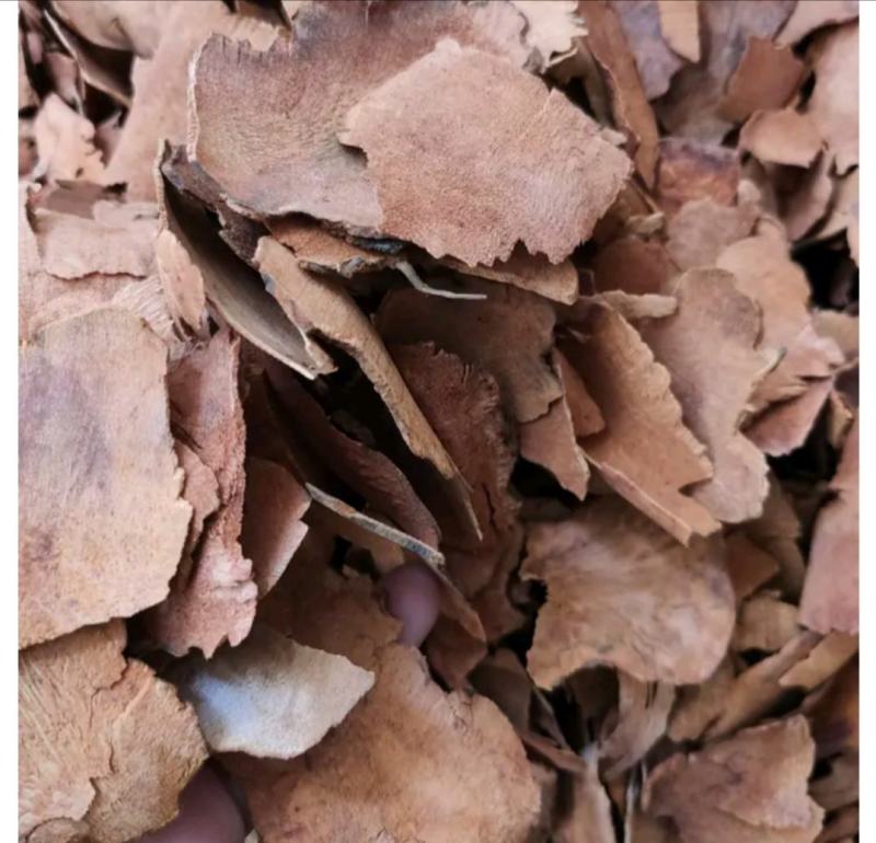 【土茯苓】正品好粉质野生红茯苓木质茯苓产地货源量大优惠。