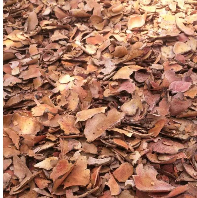 【土茯苓】正品好粉质野生红茯苓木质茯苓产地货源量大优惠。