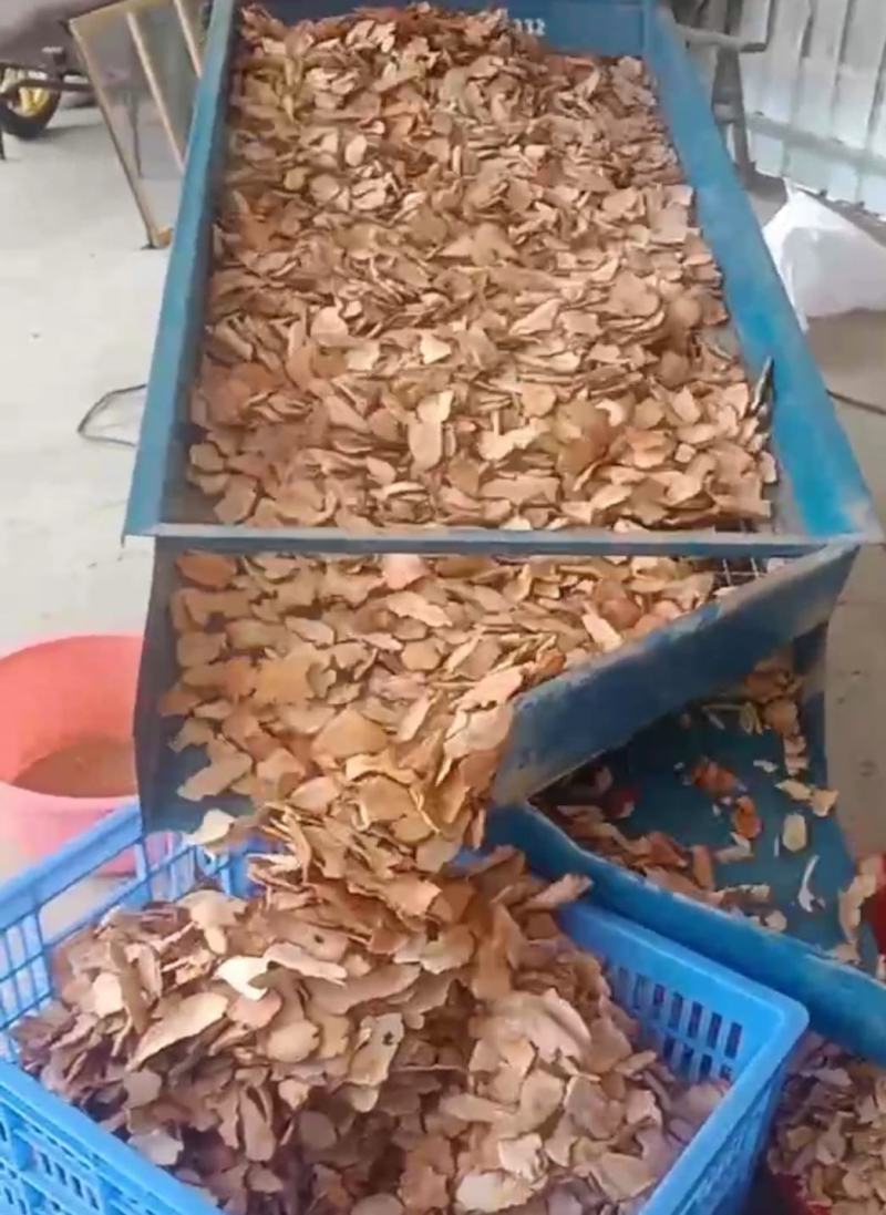 【土茯苓】正品好粉质野生红茯苓木质茯苓产地货源量大优惠。
