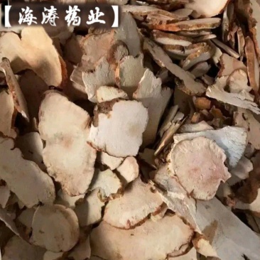 【土茯苓】正品粉质白茯苓产木质茯苓地货源品质保证诚信经营