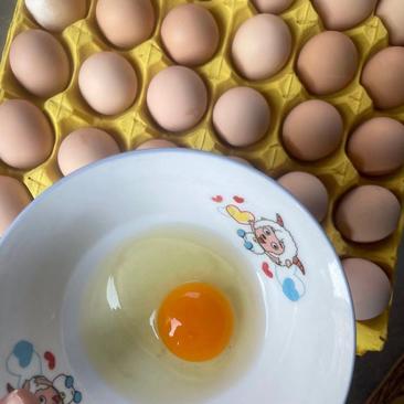 土鸡蛋散养双色虫草蛋货源充足全国发货