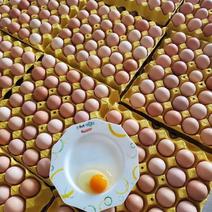 土鸡蛋，蛋黄金黄蒸煮炒不变色，品质优良，新鲜发货破损包赔