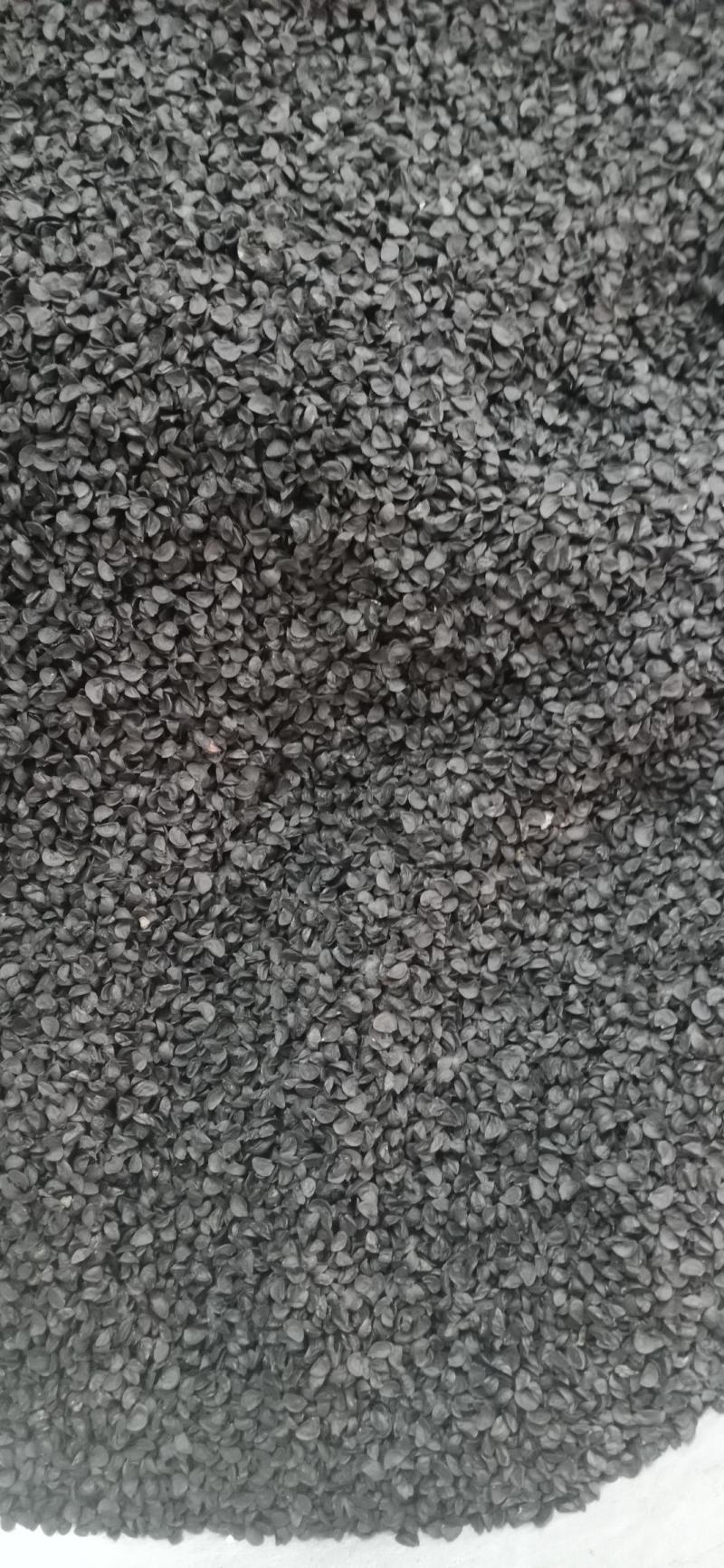 【韭菜子】正品水洗货，干净无杂质.实物拍摄.质量保证