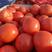 山东菏泽定陶黄店西红柿大量上市货源充足价格美丽，年后有货