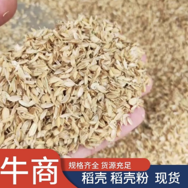 稻壳厂家供应稻壳长粒稻壳圆粒稻壳品质保证