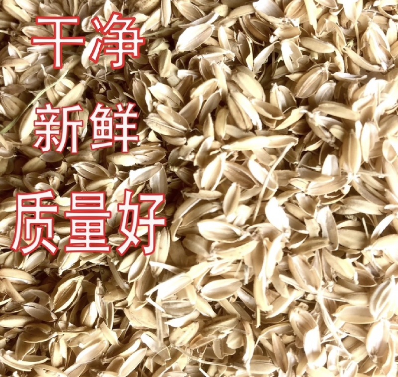 稻壳厂家供应稻壳长粒稻壳圆粒稻壳品质保证