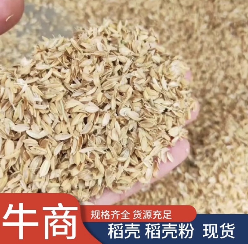 稻壳厂家供应稻壳长粒稻壳圆粒稻壳品质保证