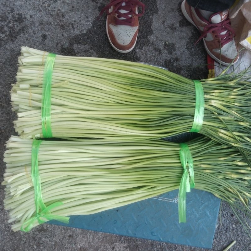 弥渡蒜台