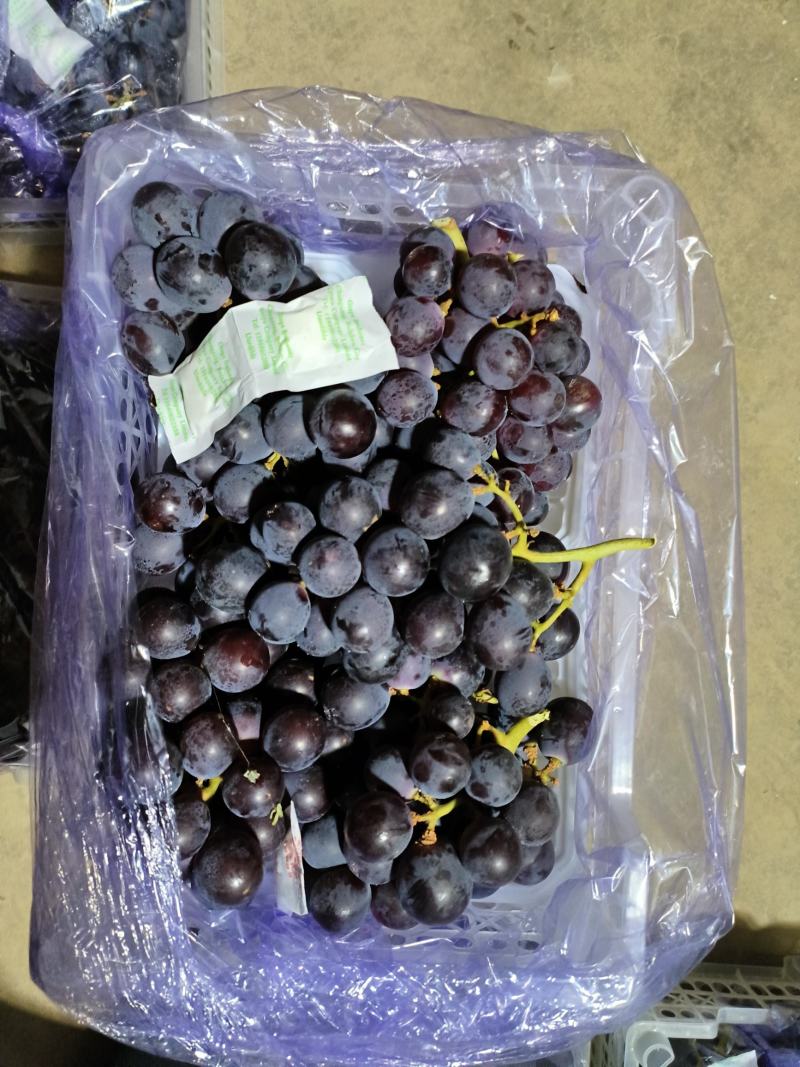 5斤白框精品软根巨峰葡萄