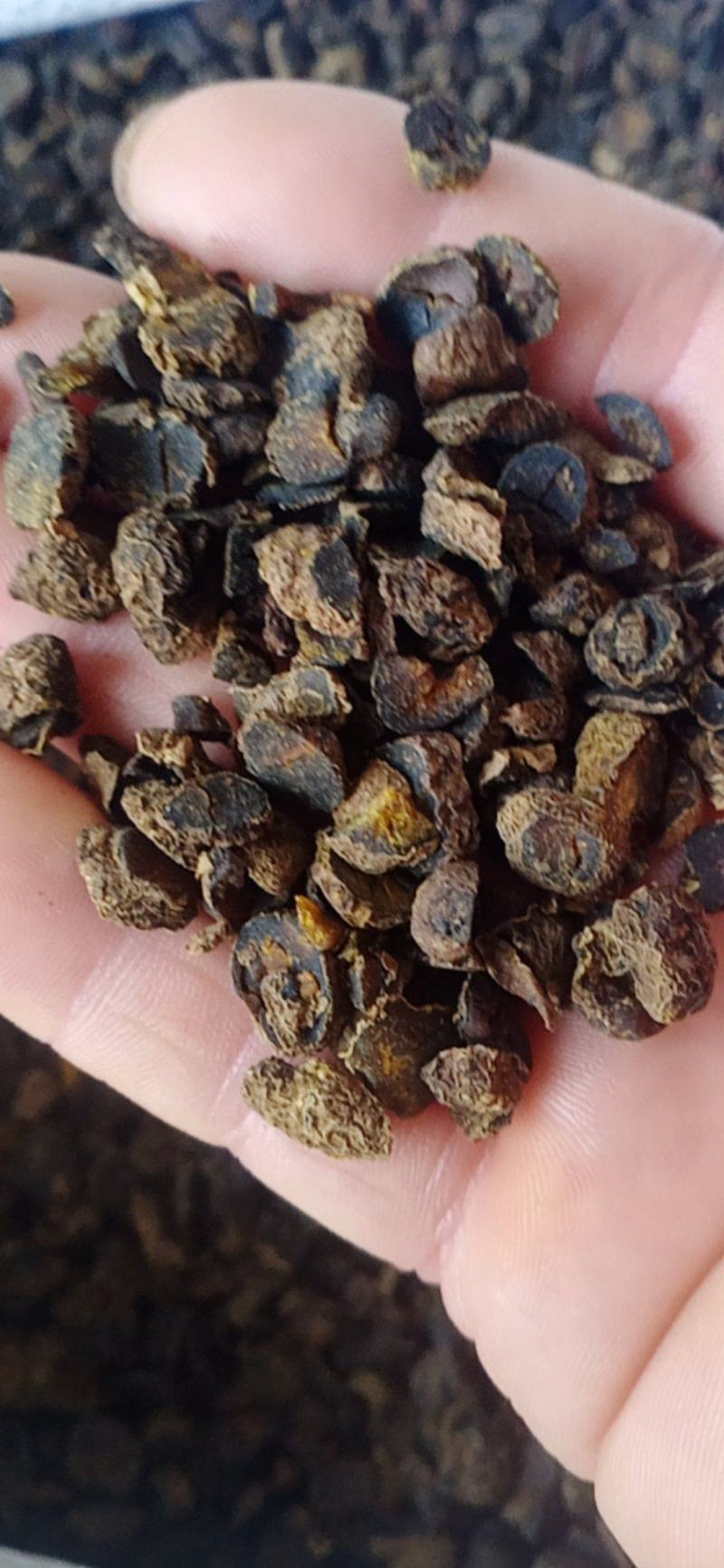 元胡个子片子颗粒.中药材批发.质量保证规格齐全.