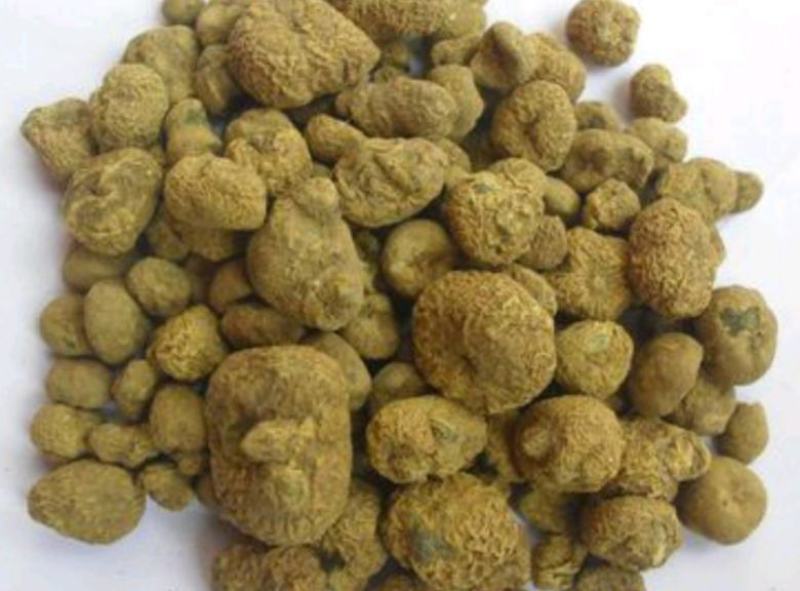元胡个子片子颗粒.中药材批发.质量保证规格齐全.