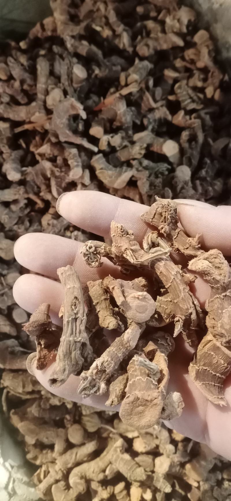 【高良姜】个片，产地中药材批发.质量保证规格齐全.