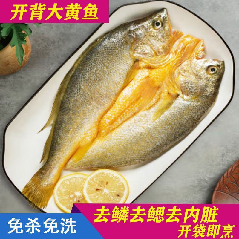 霞浦原产地黄花鱼大黄鱼开背三黄花鱼免杀免洗，全规格