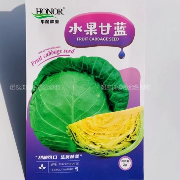 华耐水果甘蓝种子圆球形春秋甘蓝种子可生食口感脆甜球色翠绿