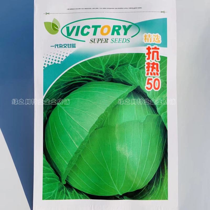 精选抗热50甘蓝种子耐高温扁包菜种子结球紧实早熟品种
