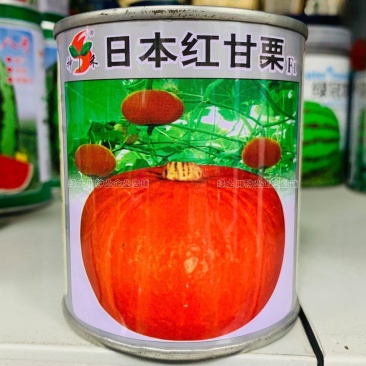 日本红甘栗南瓜种子肉质面甜抗病性强极耐贮运基地用种