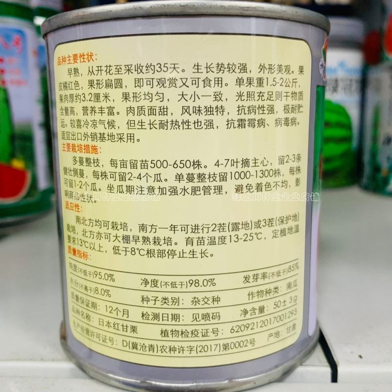 日本红甘栗南瓜种子肉质面甜抗病性强极耐贮运基地用种