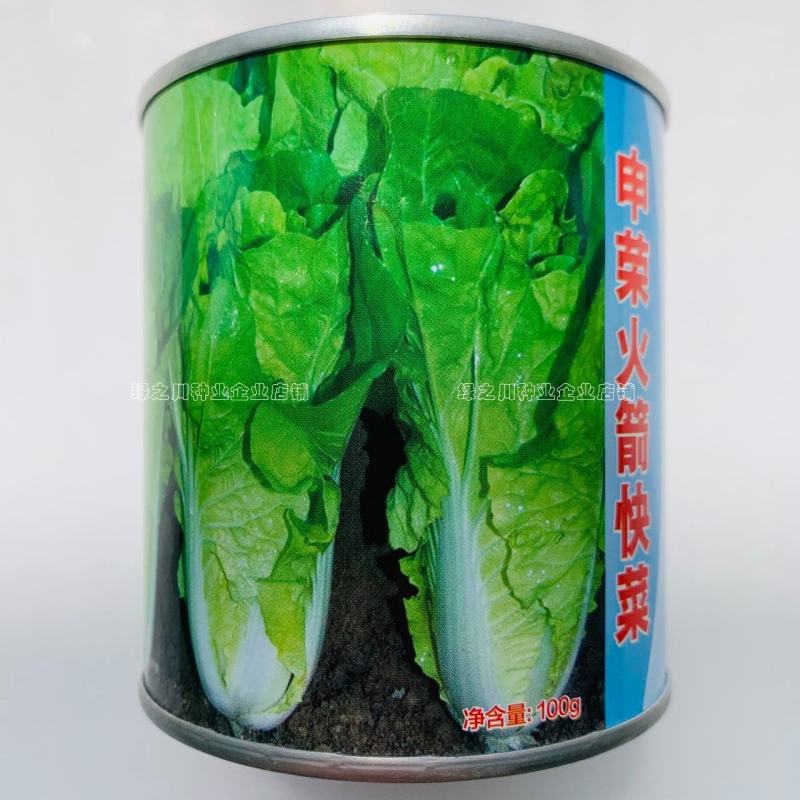 申荣火箭快菜种子基地专用小白菜种子苗菜用特早熟杂交种