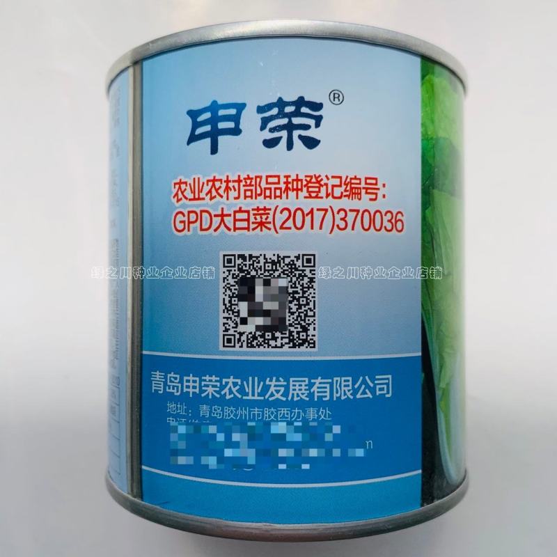 申荣火箭快菜种子基地专用小白菜种子苗菜用特早熟杂交种