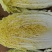 华耐黄芯娃娃菜种子叶球炮弹形黄心白菜种子早熟春秋娃娃菜