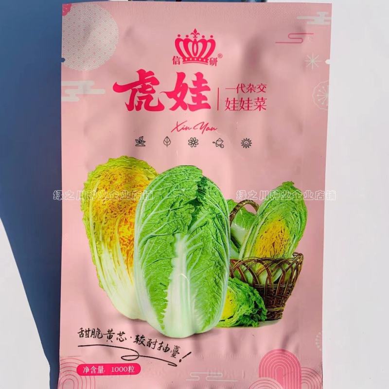 进口杂交黄心娃娃菜种籽春秋小白菜种籽黄芯娃娃菜种子耐寒