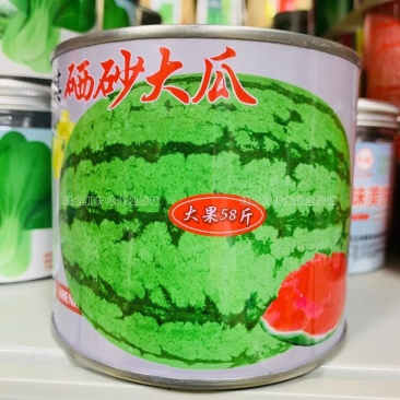 大果西瓜种籽硒砂瓜种子抗枯萎病耐重茬西瓜种子籽少又小