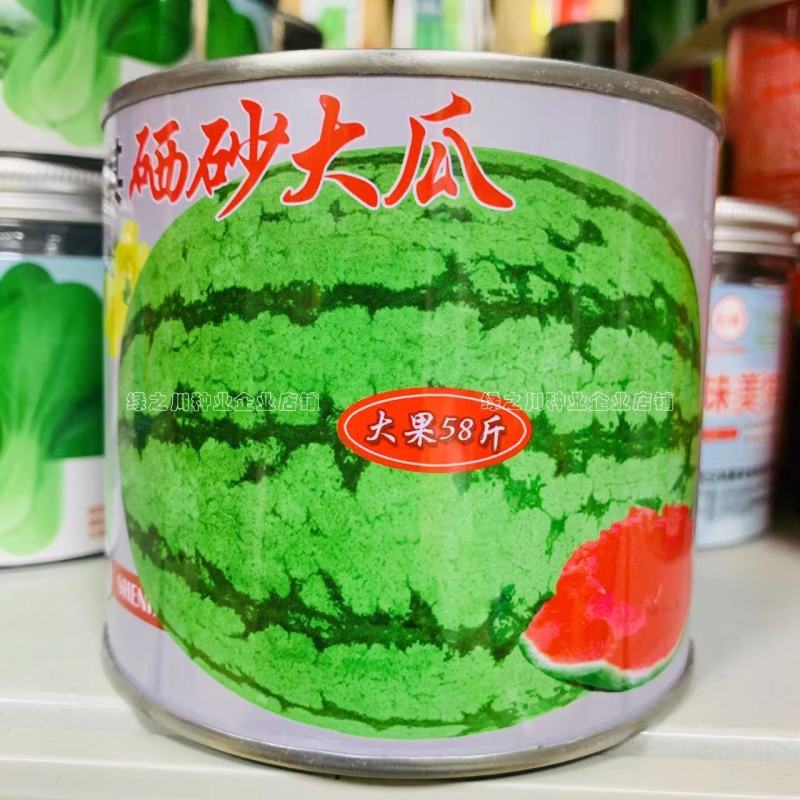 大果西瓜种籽硒砂瓜种子抗枯萎病耐重茬西瓜种子籽少又小