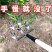 翻地松土耘锄全钢三齿四五齿耙子多功能农用工具开荒除草翻土