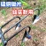 翻地松土耘锄全钢三齿四五齿耙子多功能农用工具开荒除草翻土