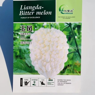 玉凤苹果苦瓜种子生吃清甜水果苦瓜种子珍珠白玉苦瓜种籽