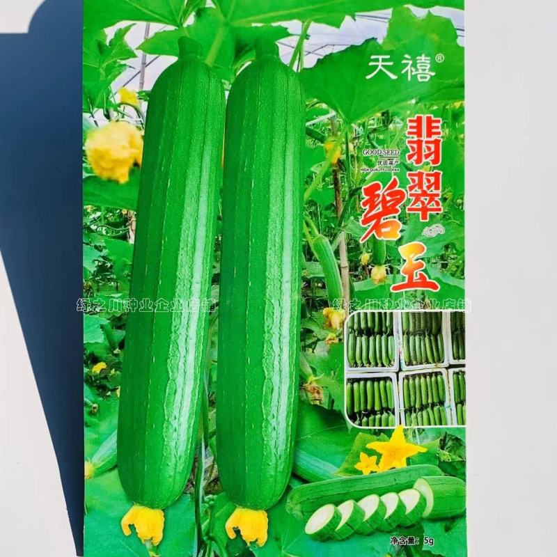 香味浓白籽丝瓜种子翡翠碧玉丝瓜种子早熟短棒水瓜种子抗病
