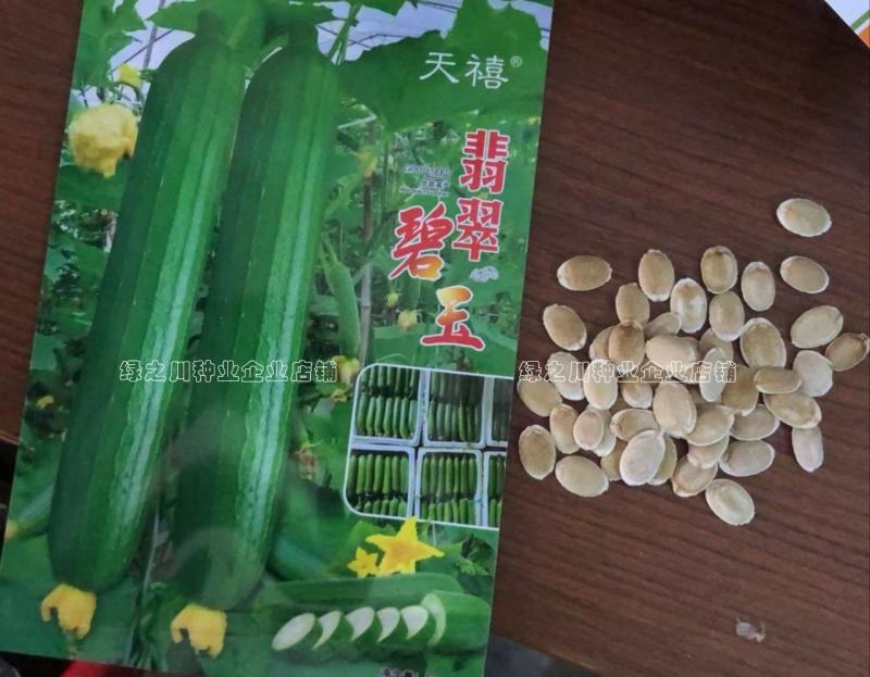 香味浓白籽丝瓜种子翡翠碧玉丝瓜种子早熟短棒水瓜种子抗病