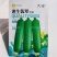 速生翡翠丝瓜种子白籽特早熟高产油亮丝瓜种子肉厚味浓基地