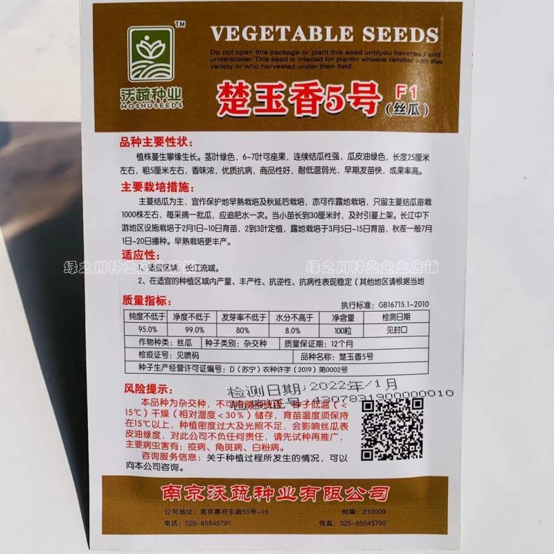 楚玉香5号丝瓜种子早熟一代杂交种油亮型丝瓜种子短棒香丝瓜