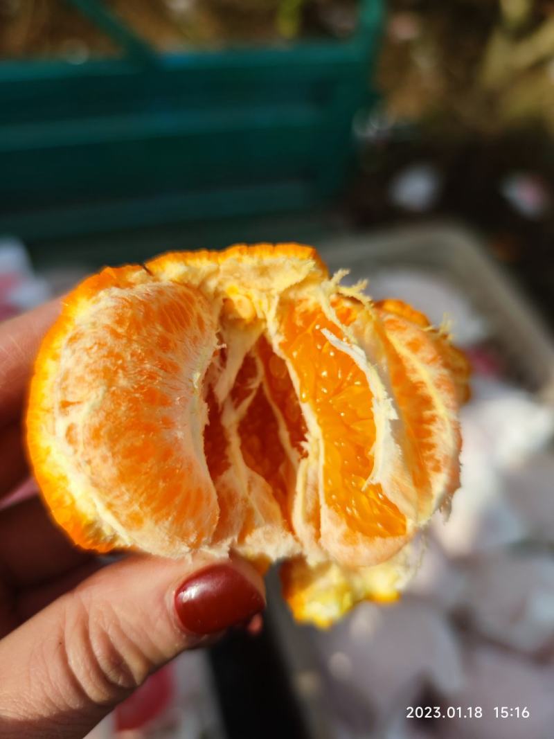 耙耙柑