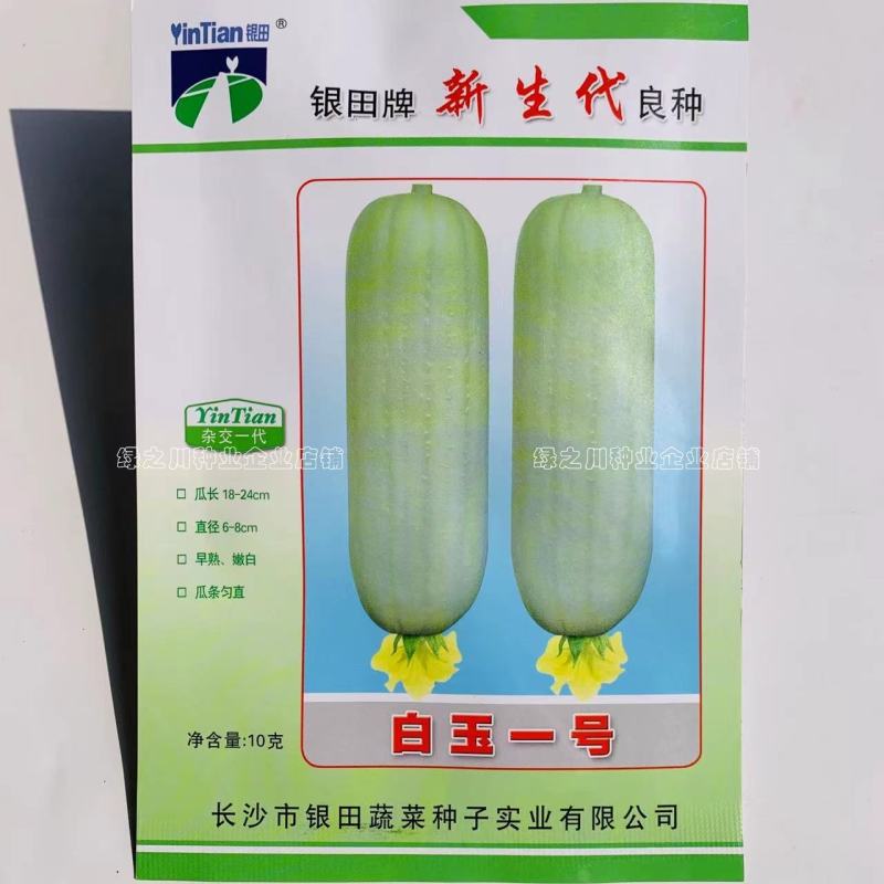 有瓜香味微甜白丝瓜种籽白玉一号丝瓜种子短棒型水瓜种子