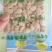 有瓜香味微甜白丝瓜种籽白玉一号丝瓜种子短棒型水瓜种子