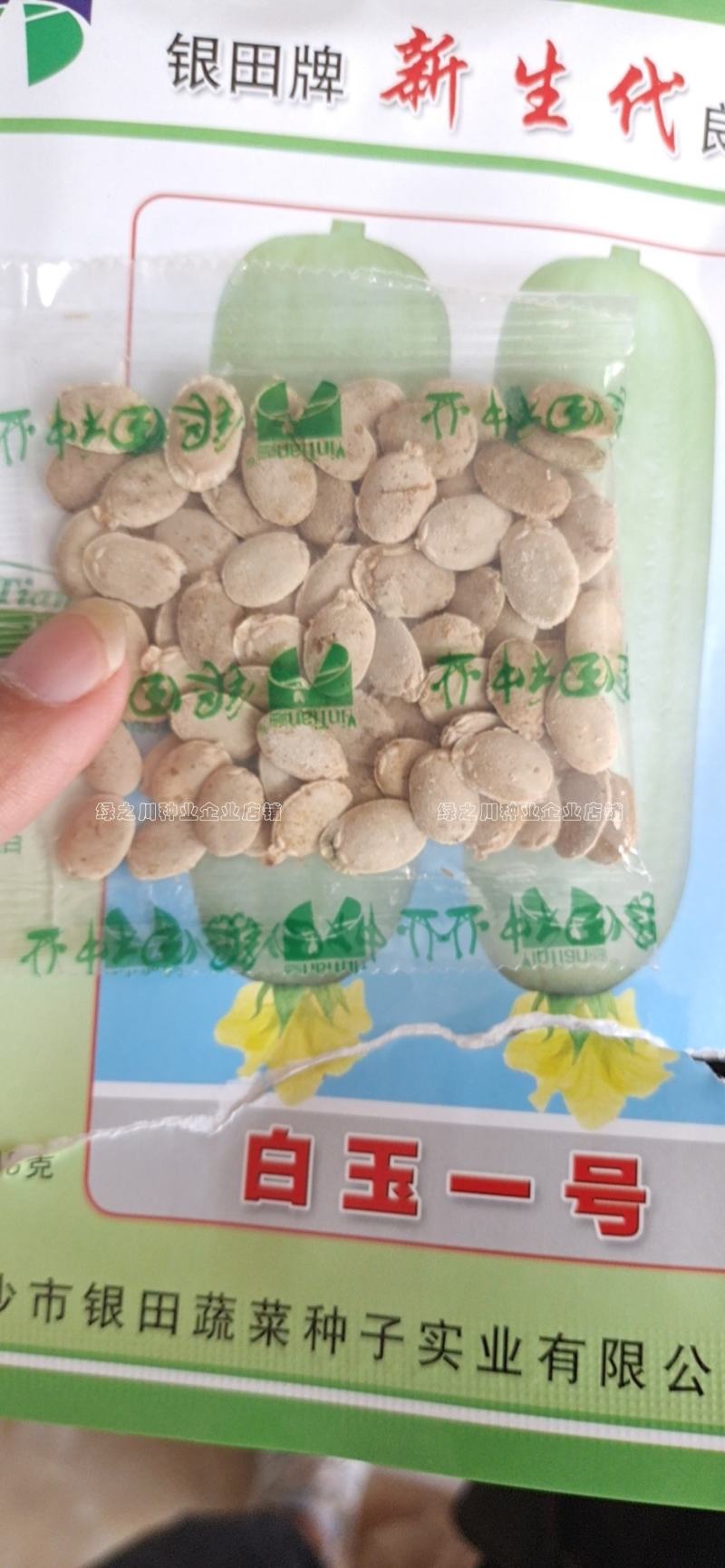 有瓜香味微甜白丝瓜种籽白玉一号丝瓜种子短棒型水瓜种子